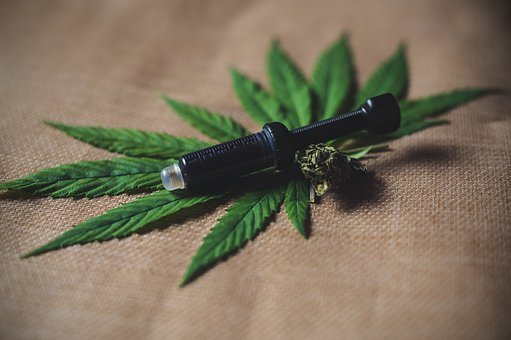 cbd oils